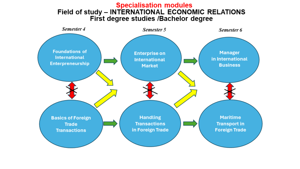 moduły specjalnościowe ang Bachelor International Economic Relations Basics